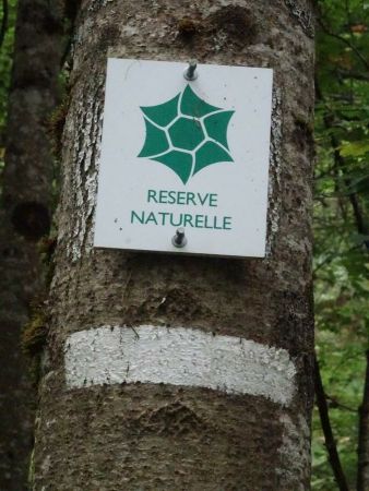 Limite de la Réserve Naturelle