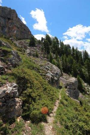 Sentier de Balme Rousse.