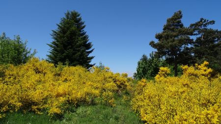 Si on mélange du bleu et du jaune, on obtient du vert ?