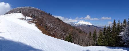 L’Epion et le Colombier