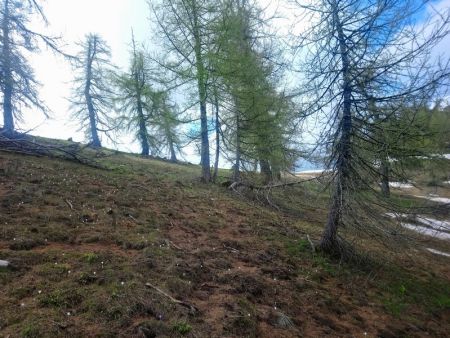 La Baisse de Mallette (1906m) n’est plus très loin !