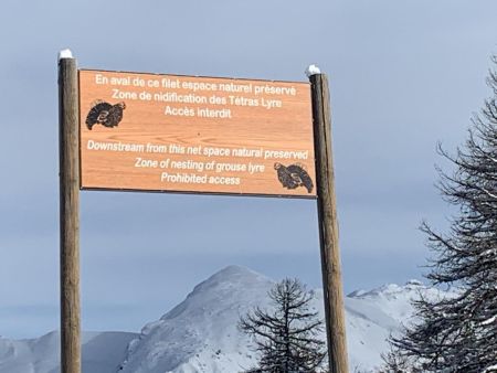 Faire attention, il y a 2 zones protégés.