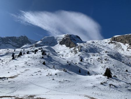 Pied Gros de St-Etienne.