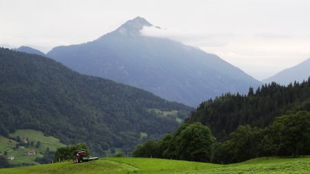 Vallée du Bouchet et dent de Cons. Des fenaisons aussi sur ce versant.