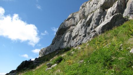 Sentier en balcon sous la corniche de Ceüse.