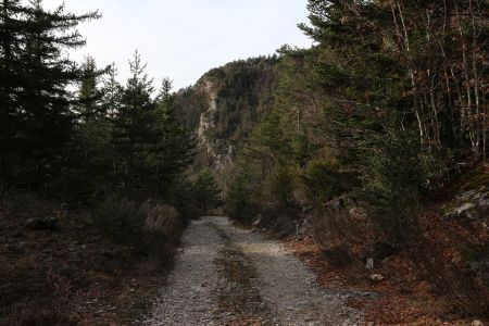 Chemin dans les environs de Fontbelle.