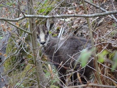 Rencontre furtive