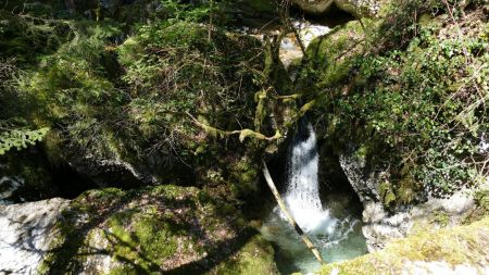 Baignoire naturelle.