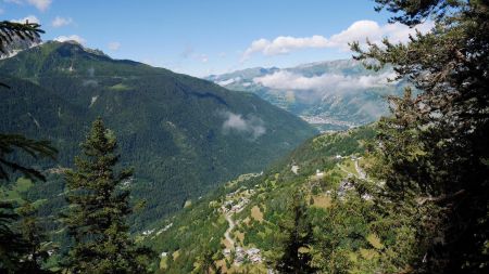 Point de vue dans la forêt du Mousselard.