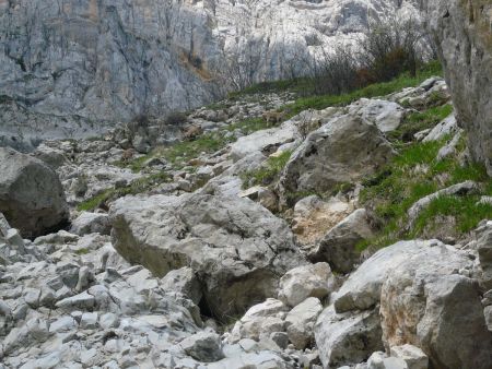 Sous les Rochers du Ranc Traversier.