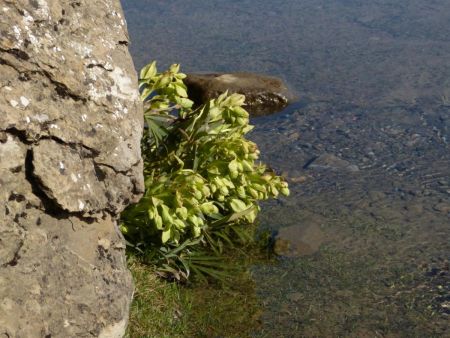 Le printemps pointe son nez