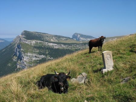 Borne frontière - Sommet du Pinet et Mont-Granier