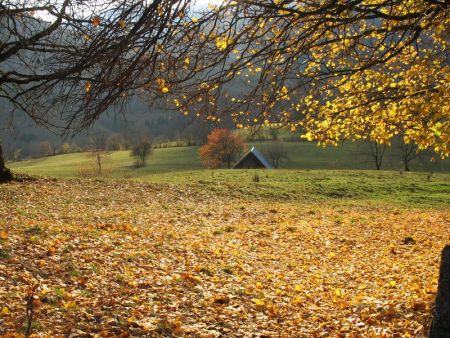 Couleurs d’automne près de Jarsy