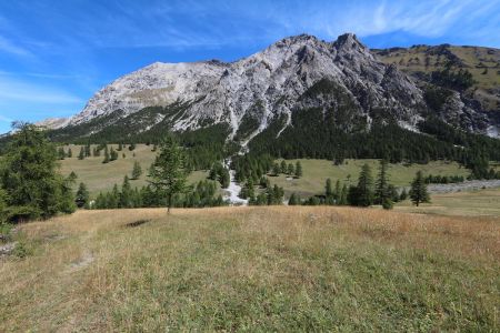 La prairie jouxtant la piste.