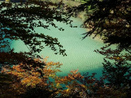 Percée dans les branchages au dessus du Grand Maclu