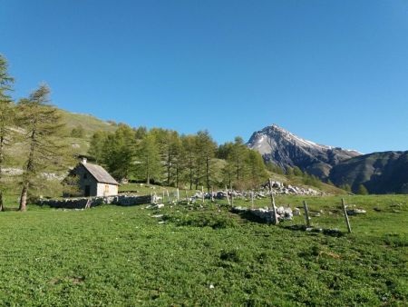 Cabane.