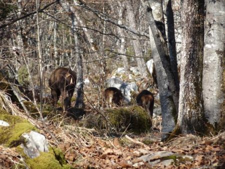 Rencontre