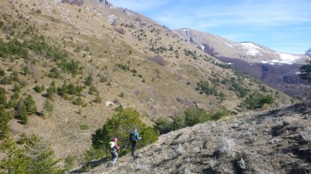 Retour par le sentier balisé effectuant la jonction Rabou - col de Chabanottes