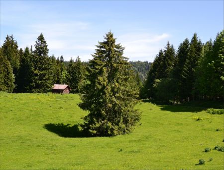 Sur la Route de Vuarne.