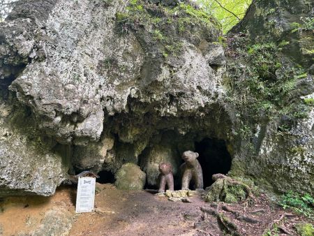 Ours des cavernes...