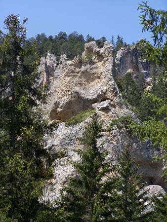 Facette sud vue d’une des rares trouées de la forêt dense de Sardières.