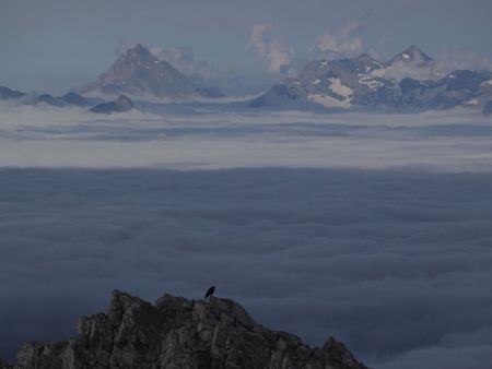 Un regard vers la Haute Cime des Dents du Midi et le massif des Ruans.