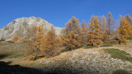 Montée par le Collet (il est possible de monter également par la piste des chalets de Clapeyto).