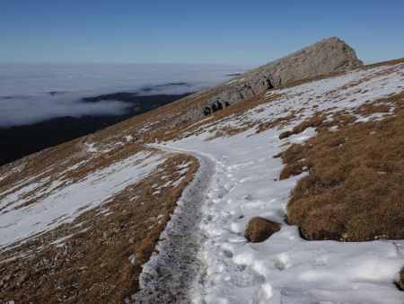 Un sentier tranquille...