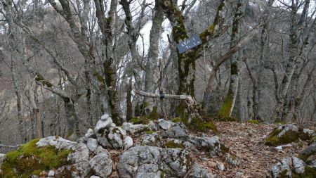 Et oui ... la croix fort rustique est toujours là !