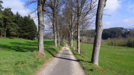 Chemin de Pic l’Oiseau.