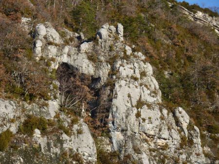 L’arche de Baumugne : la végétation la rend quasi invisible