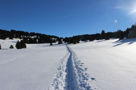 La sente est bien tracée