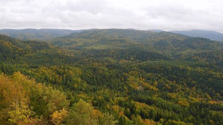 Vers le Wettersberg, le Wintereckkopf et le Kälbelskopf. Au loin, le Eierkuchenberg, le Badener Höhe, le Mehliskopf et le Hornisgrinde.