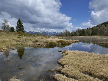 Lac de tourbière