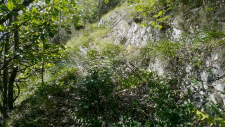 Passage sous le mur de souténement de la piste d’alpage de Jiboui.