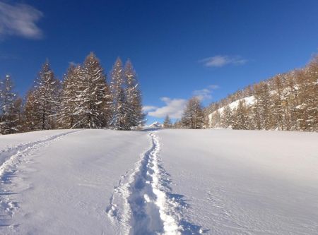 Nos traces à la descente