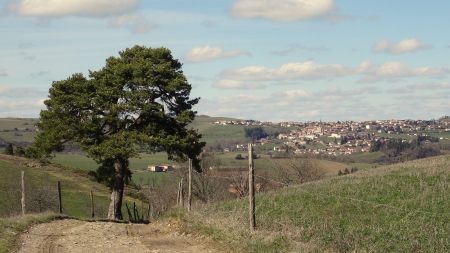 Vers Saint-Christo-en-Jarez.