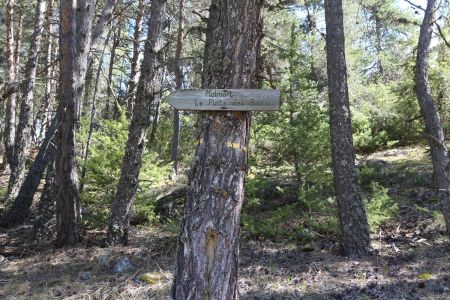 Pancarte en bois juste après.