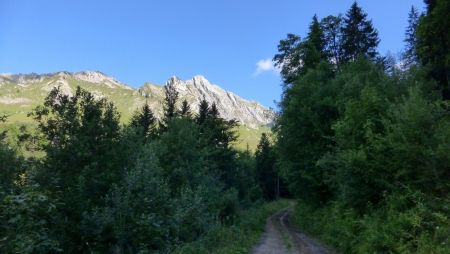 La piste vue arrière