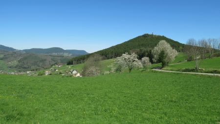 Depuis le Col de Bermont, une petite vue sur le Vallon de Lapoutroie et le Grand Faudé. Malgré le grand ciel bleu, c’est beaucoup moins beau qu’avec la lumière magique du matin avant 10h.