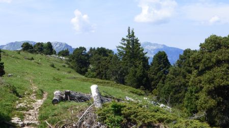 Sur le sentier