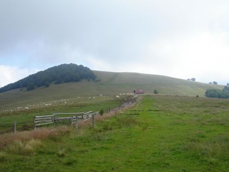 Le Thanner Hubel (1184m)