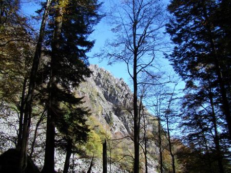 La sortie de la forêt.