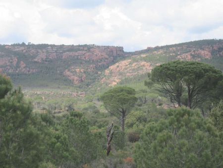 Vallon de la Baume Renaude à explorer lors de sa remontée.