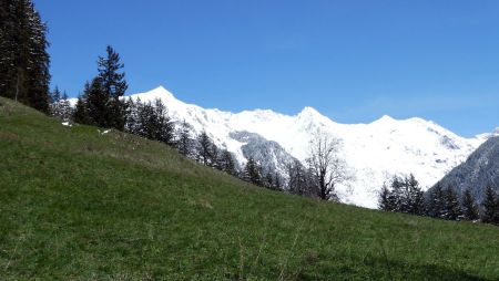 Pointe de la Vélière, Bécqui Rouge, Chardes