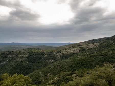 Adret de la forêt domaniale de la Vis