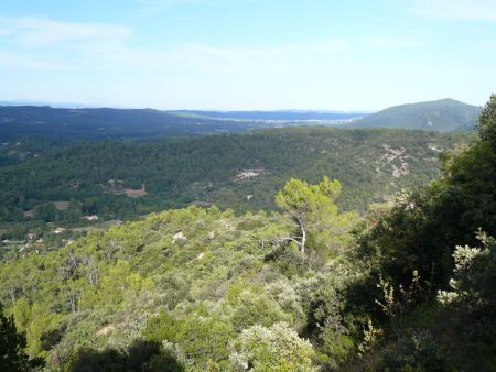 Le paysage se découvre.