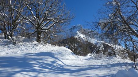 Vers le chalet de l’ Epion