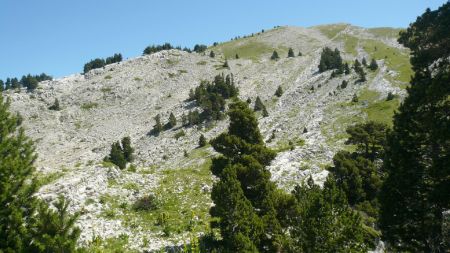 Regard sur la crête, du Gouffre Myotis.