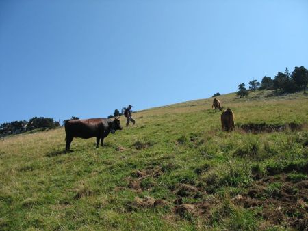 Montée vers les crêtes